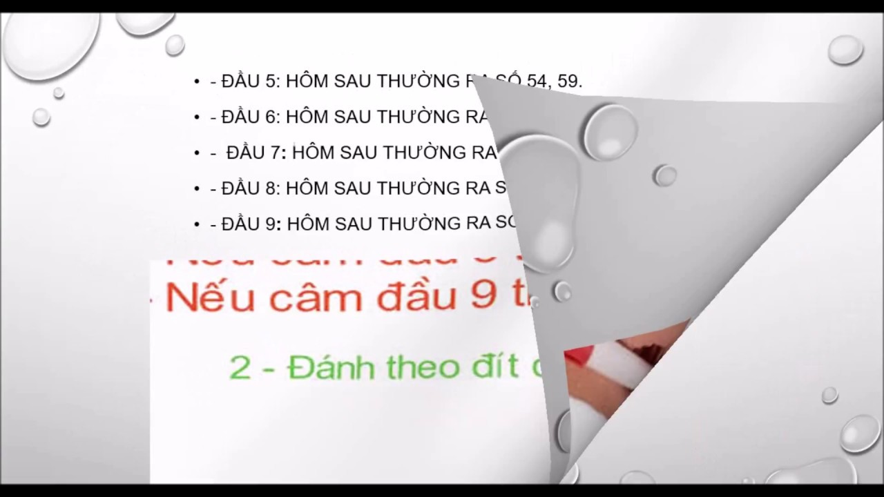 Chỉ nên nuôi lô đầu 8 câm khoảng 3 - 5 ngày nếu vẫn chưa về thì bỏ